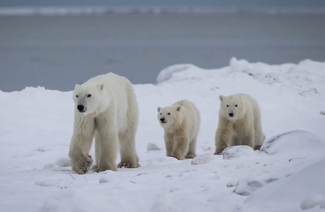 Cabine d'avion pendant le décollage